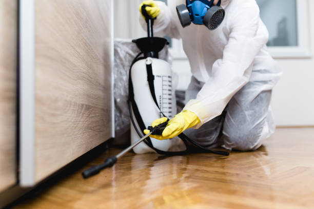 Best Bed Bug Extermination  in Berlin, MD