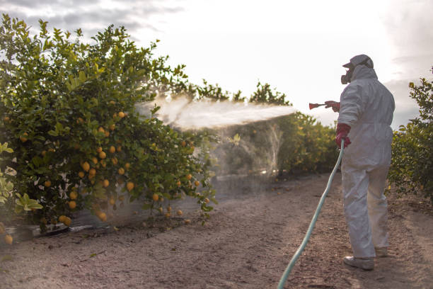 Best Pest Control for Restaurants  in Berlin, MD