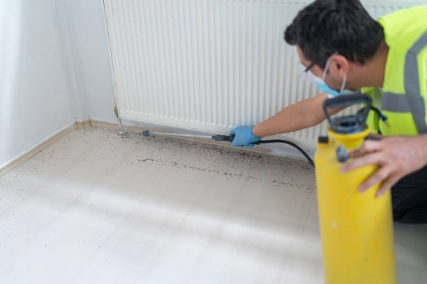 Best Affordable Pest Control Services  in Berlin, MD